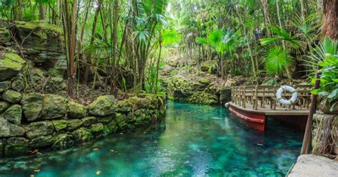 xcaret natural adventure park cozumel|Ecological parks and nature activities 